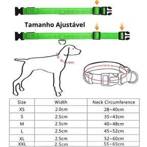 Coleira Luminosa de Led Recarregável: Garanta a Segurança do seu Cão em Passeios Noturnos