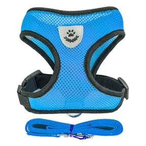Conjunto de Coleira de Peito: Caminhadas Seguras e Confortáveis para o seu Animal de Estimação
