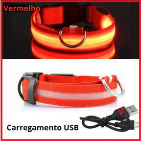 Coleira Luminosa de Led Recarregável: Garanta a Segurança do seu Cão em Passeios Noturnos